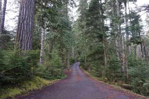 Heart of the Hills Campground - Olympic National Park