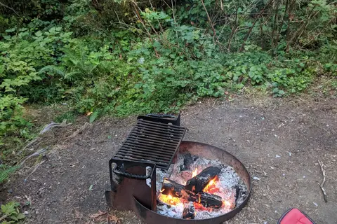 Heart of the Hills Campground - Olympic National Park