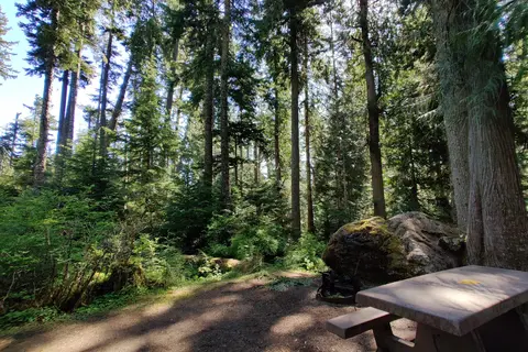 Heart of the Hills Campground - Olympic National Park
