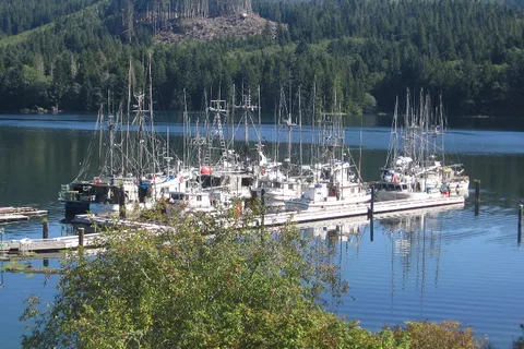 The Outpost at Winter Harbour