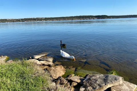 Shady Grove - Possum Kingdom State Park