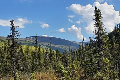 Tors Trail Campground
