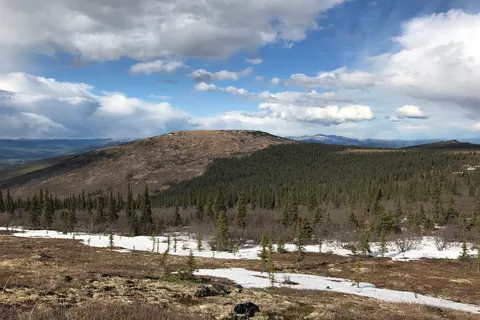 Tors Trail Campground