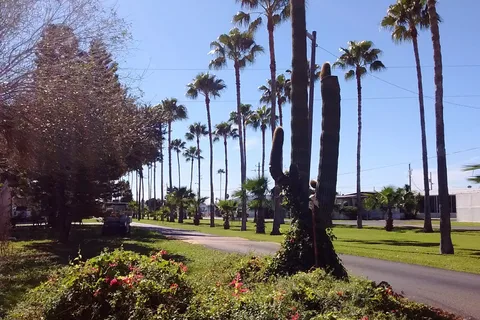Alamo Palms RV Resort
