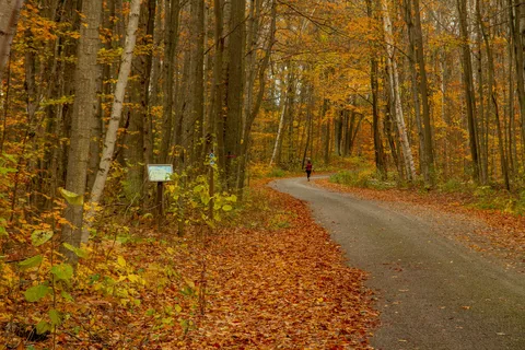 parc provincial Awenda
