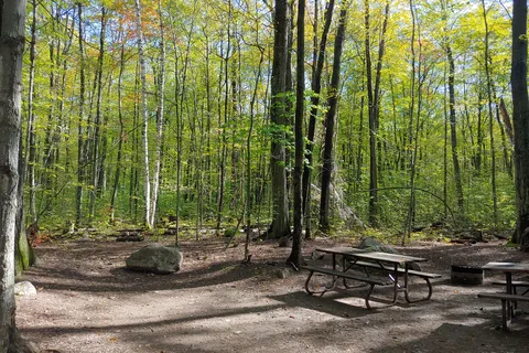 parc provincial Awenda