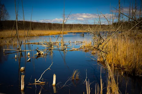 parc provincial Awenda