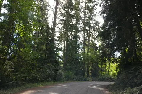Whiskey Creek Beach NW