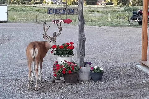 Aspen Ridge RV Park