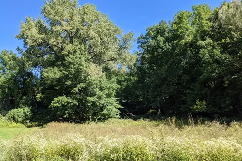 South Lake - Backbone State Park