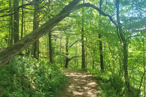 South Lake - Backbone State Park