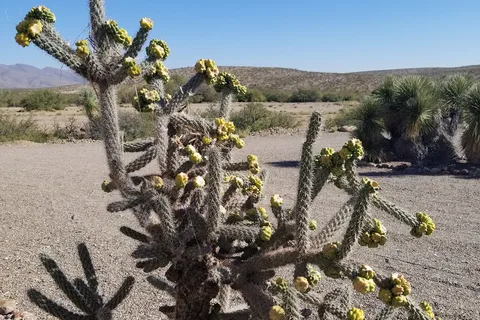 Hidden Valley Ranch RV Resort