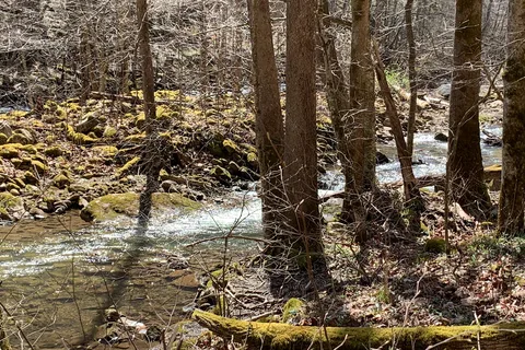 Glade Creek - New River Gorge National River