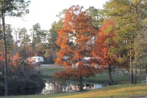 TLC Wolf River Resort