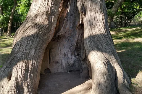 Parc d'État de Garner