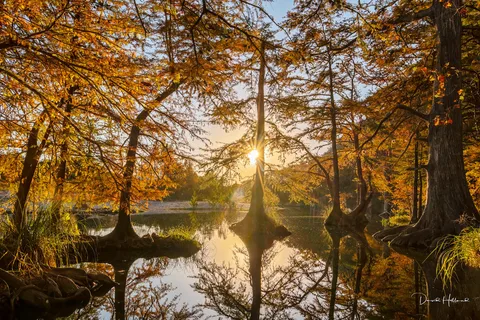Parc d'État de Garner