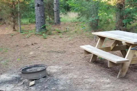 Little Pine Cabins and RV Park