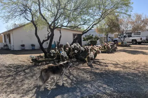 North Ranch - Escapees RV Parks