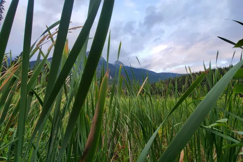 Seeley Lake Provincial Park