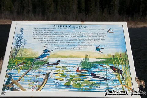Seeley Lake Provincial Park