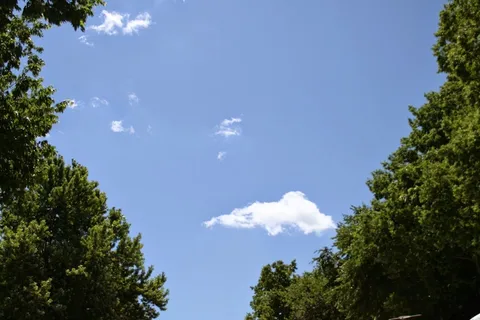 Walnut Grove RV Park