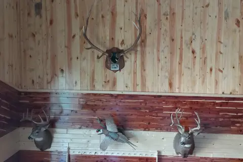 T-Bones Treehouse RV Park