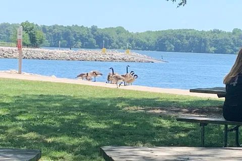 Clinton Lake State Recreation Area