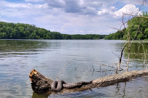 Clinton Lake State Recreation Area