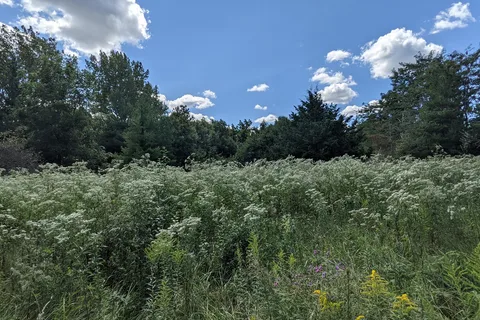Clinton Lake State Recreation Area