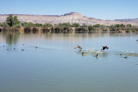 Fruita - James M Robb-Colorado River State Park