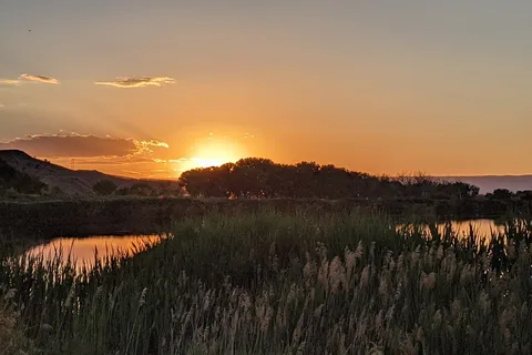Fruita - James M Robb-Colorado River State Park