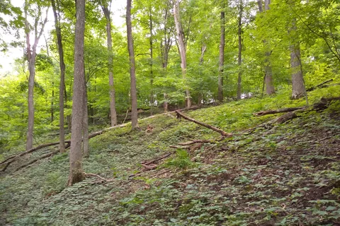Palisades-Kepler State Park