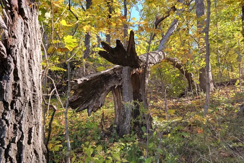Palisades-Kepler State Park