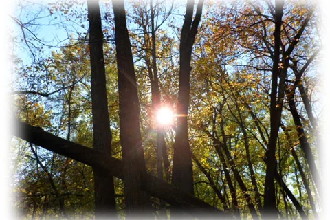 Hidden Meadows RV Park & Campground