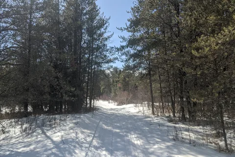 Townsend Lake - Woody River Provincial Rec Site