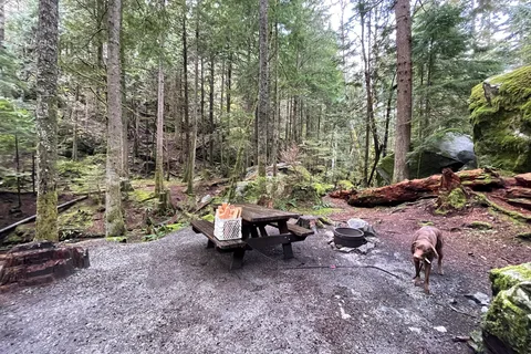 MTN Fun Basecamp
