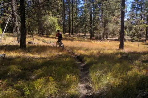 Teanaway - Department of Natural Resources