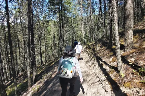 Redstreak Campground - Kootenay National Park
