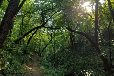 Ambrose A Call State Park
