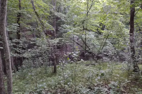 Ambrose A Call State Park