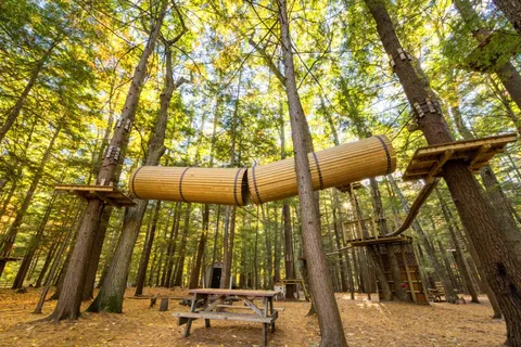 Sun Retreats Wild Acres