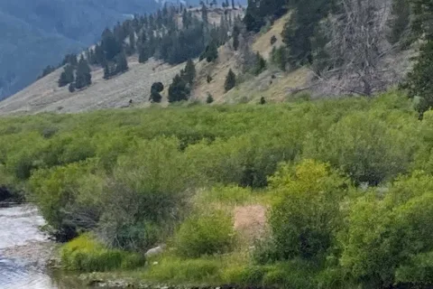 Hyde RV Park