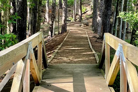 Mission Tejas State Park