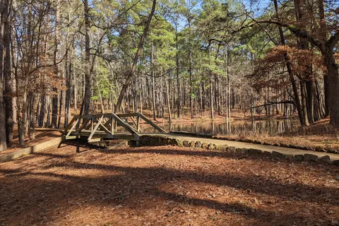 Mission Tejas State Park