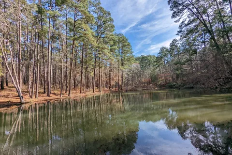 Mission Tejas State Park