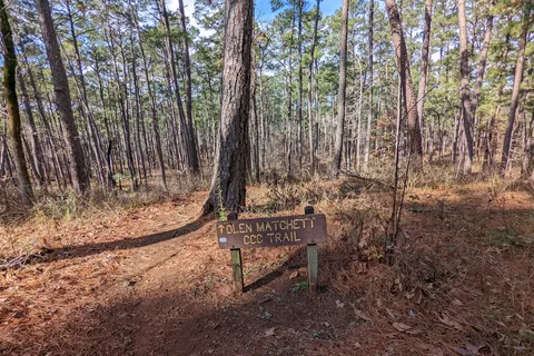 Mission Tejas State Park