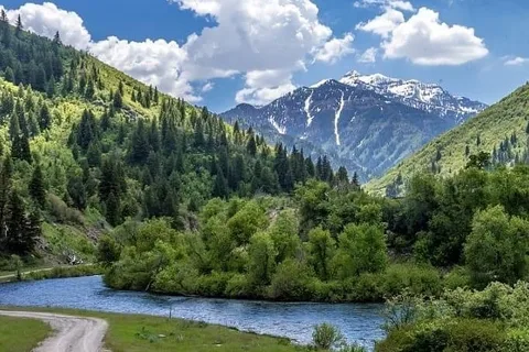 Provo River Resort
