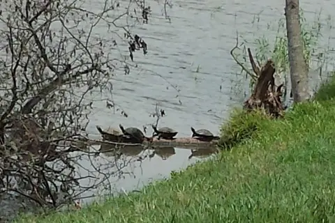 Oyster Creek RV Ranch