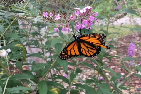 Nature's Way RV Park
