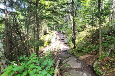 Mount Ascutney State Park